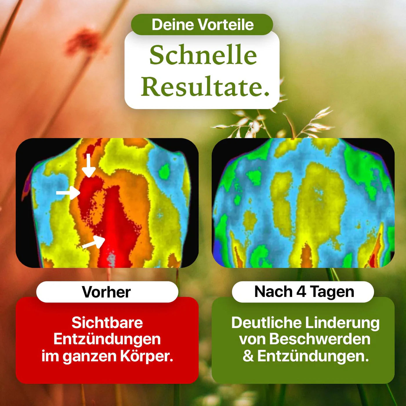 Erdungs-Bettlaken für Tiefenentspannung & besseren Schlaf